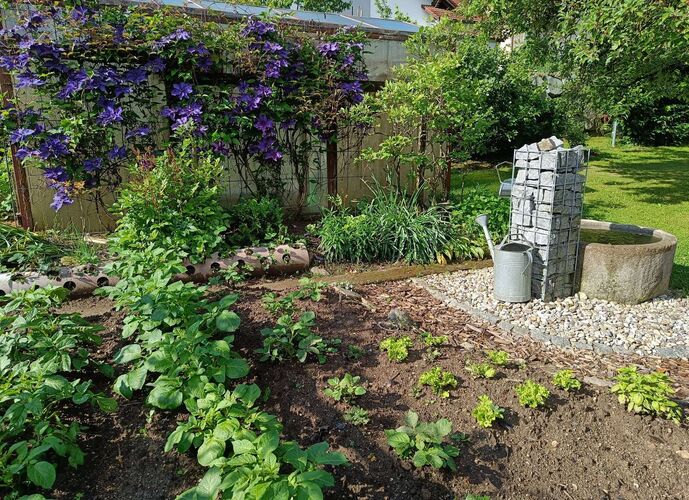 Schönster Garten 2022 - Marianne aus Rohrbach