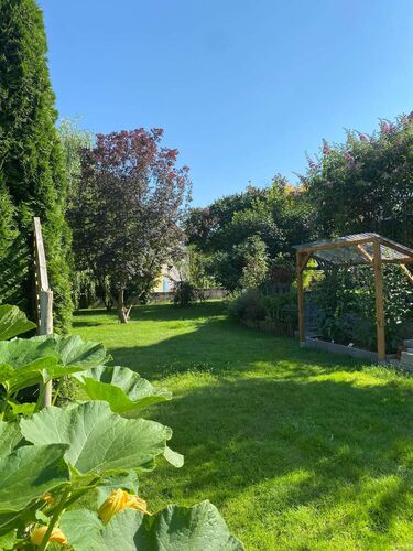 Schönster Garten 2022 - Andrea aus Linz-Land