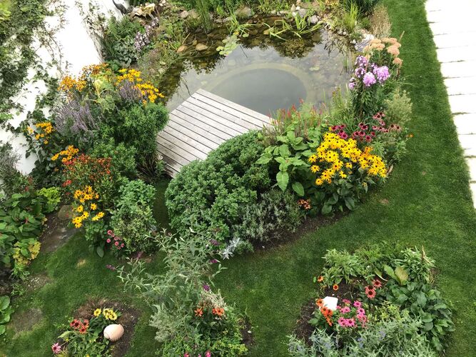 Schönster Garten 2022 - Claudia  aus Rohrbach