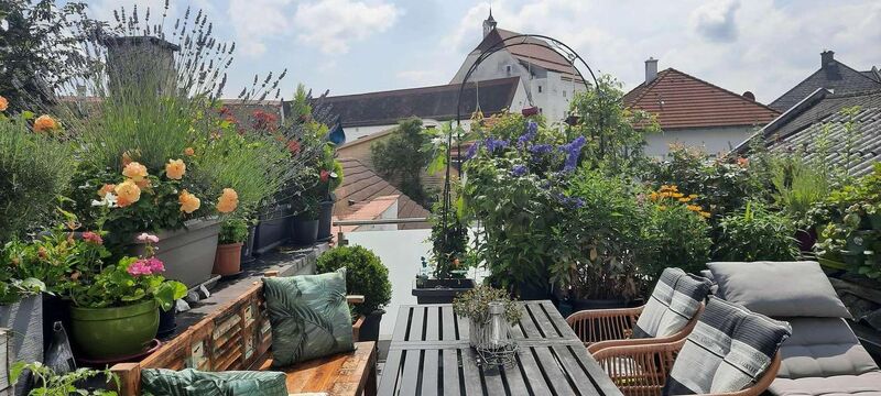 Schönster Garten 2022 - Sonja aus Linz-Land