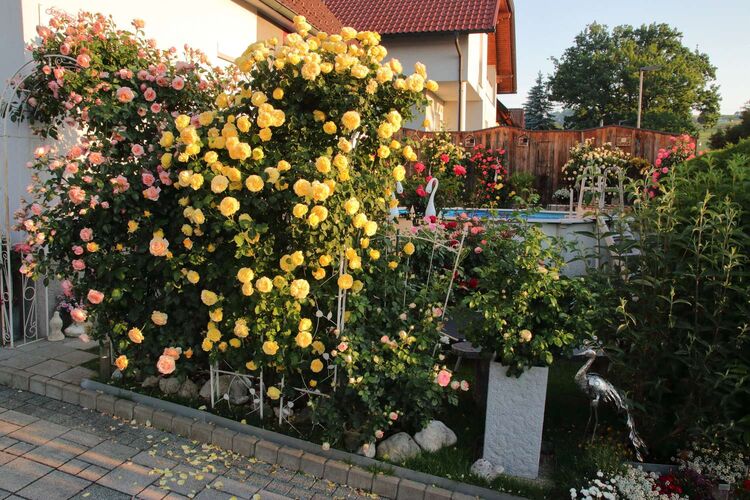 Schönster Garten 2022 - Roland aus Grieskirchen