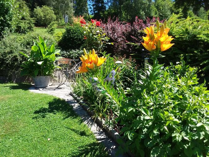 Schönster Garten 2022 - Gertraud aus Urfahr-Umgebung