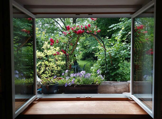 Schönster Garten 2022 - Sonja aus Ybbstal