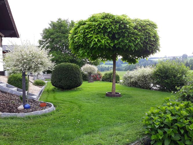 Schönster Garten 2022 - Eva  aus Vöcklabruck