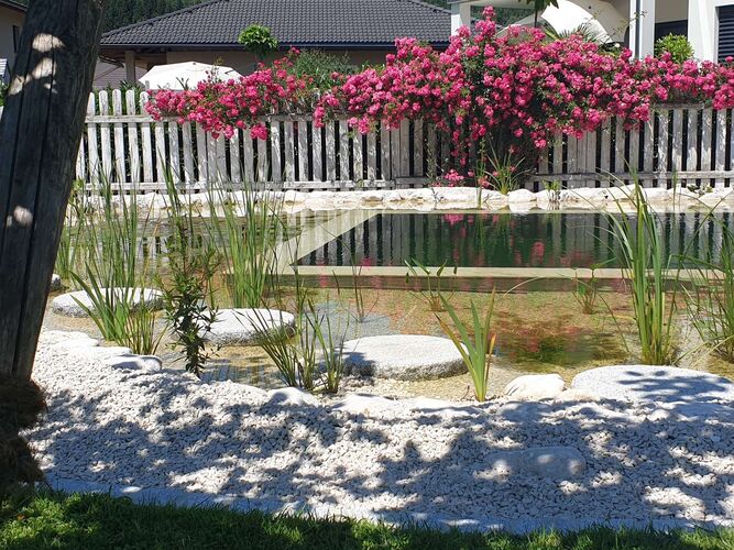 Schönster Garten 2022 - Petra aus Vöcklabruck