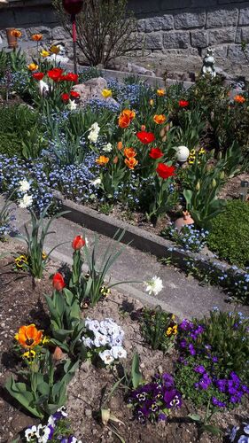 Schönster Garten 2022 - Marianne aus Perg