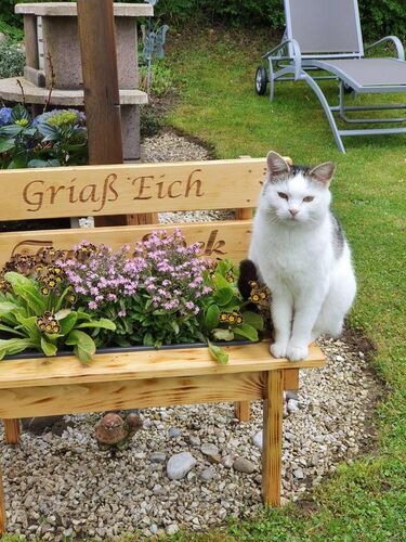 Schönster Garten 2022 - Heinrich aus Kirchdorf