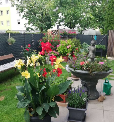 Schönster Garten 2022 - Reinhild aus Linz