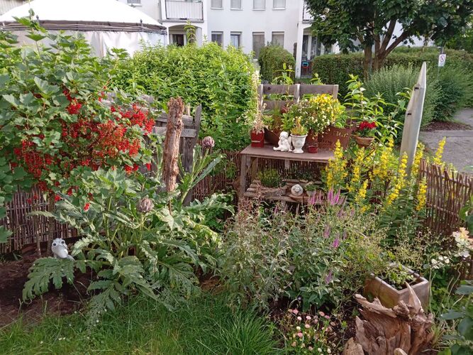 Schönster Garten 2022 - Christiane aus Linz