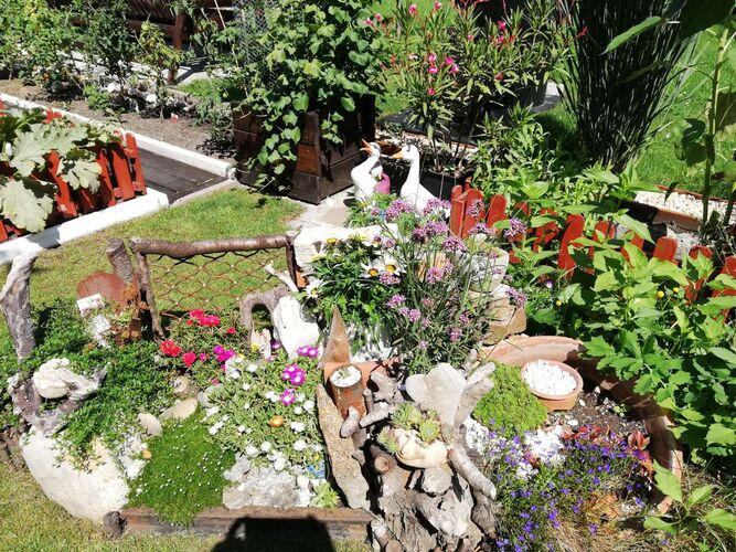 Schönster Garten 2022 - helga aus Linz