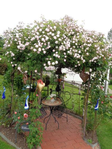 Schönster Garten 2022 - Adelheid aus Vöcklabruck