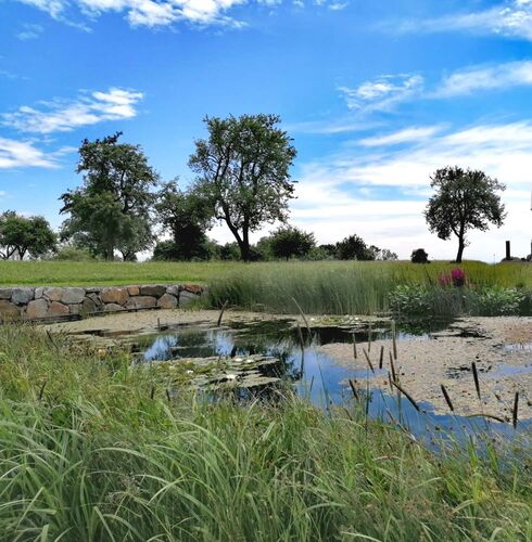 Schönster Garten 2022 - Tanja aus Eferding