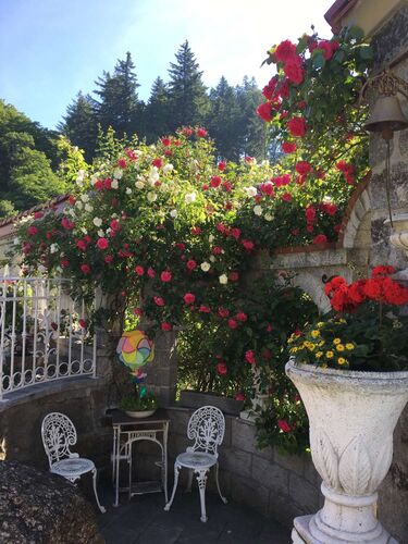 Schönster Garten 2022 - Walfried  aus Perg