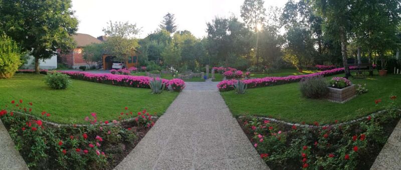 Schönster Garten 2022 - Christine  aus Gmunden