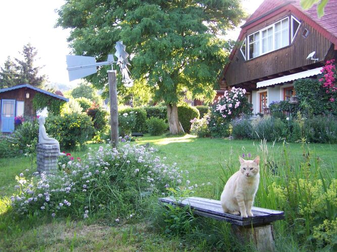 Schönster Garten 2022 - Erwin aus Vöcklabruck