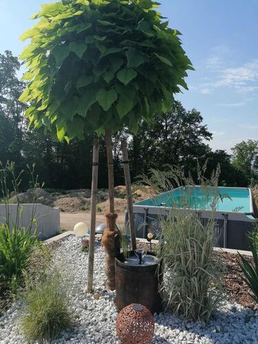 Schönster Garten 2022 - Sandra aus Perg