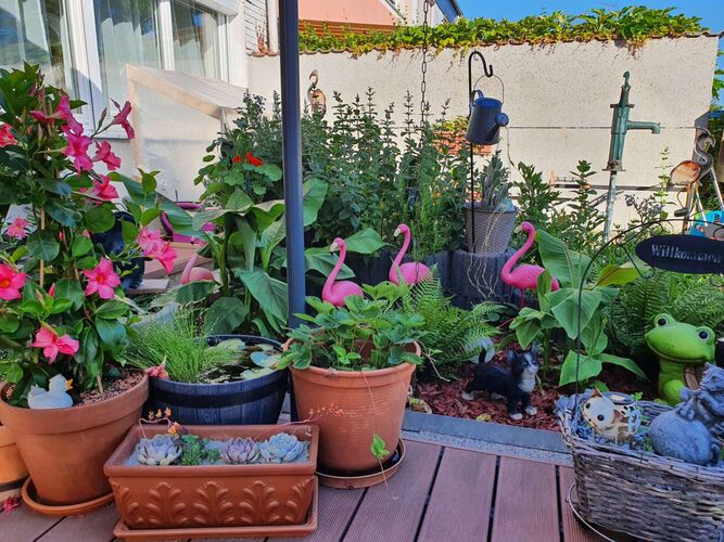 Schönster Garten 2022 - Isabella  aus Braunau