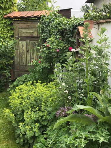 Schönster Garten 2022 - Carina aus Eferding