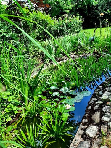 Schönster Garten 2022 - SR Therese aus Perg