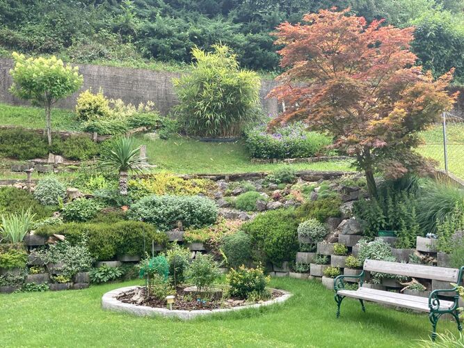 Schönster Garten 2022 - Hannelore aus Linz-Land