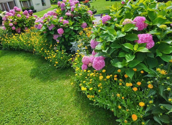 Schönster Garten 2022 - Liselotte aus Kirchdorf