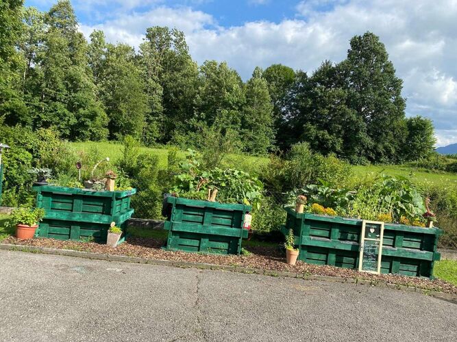 Schönster Garten 2022 - Helga aus Kirchdorf