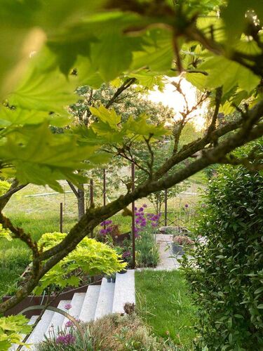 Schönster Garten 2022 - Thomas  aus Linz-Land