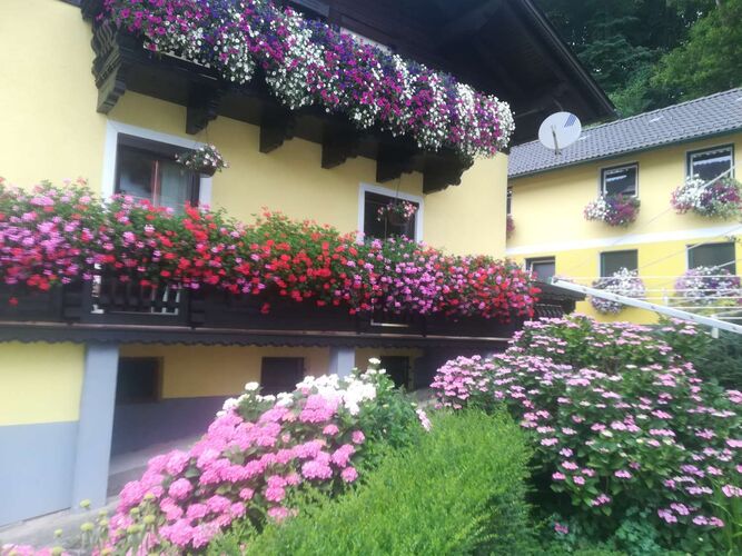 Schönster Garten 2022 - Regina aus Perg