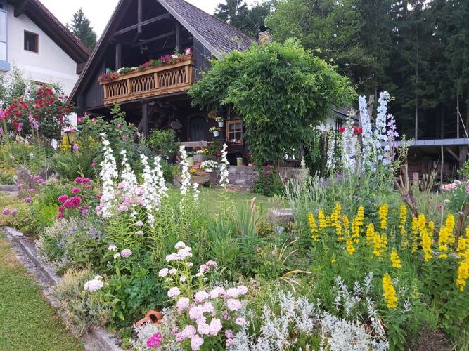 Schönster Garten 2022 - Gerald aus Schärding