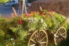 Schönster Garten 2022 - Karin aus Grieskirchen