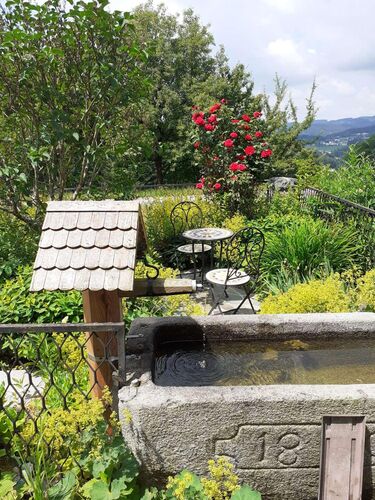 Schönster Garten 2022 - Johanna aus Rohrbach