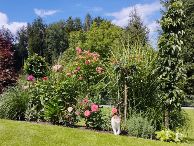 Schönster Garten 2022 - Paula aus Gmunden