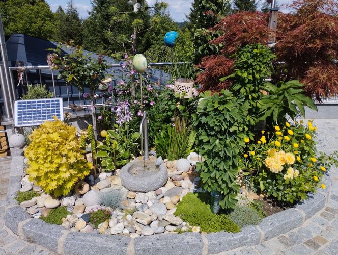 Schönster Garten 2022 - Johann  aus Gmunden