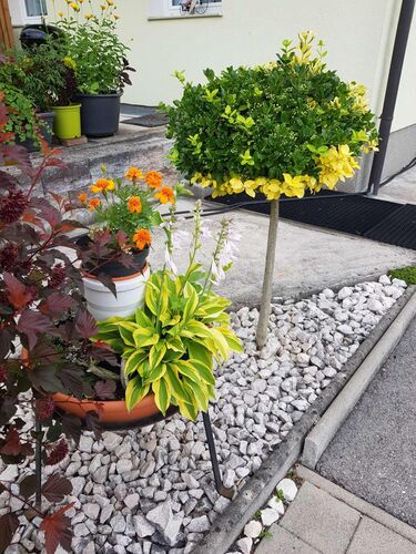 Schönster Garten 2022 - Roswitha aus Gmunden