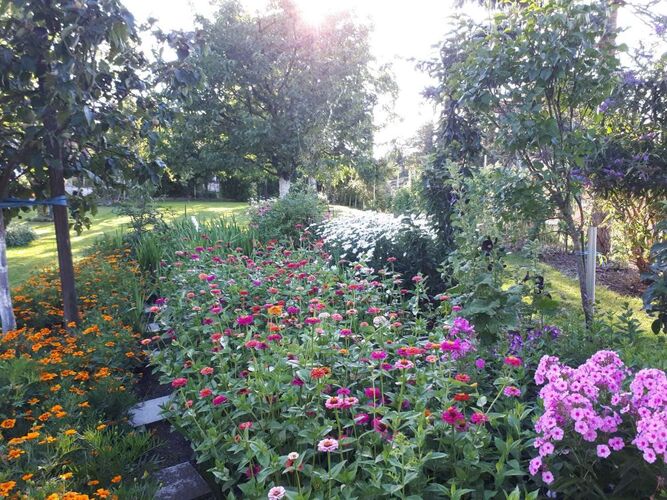 Schönster Garten 2022 - Margarete aus Ried