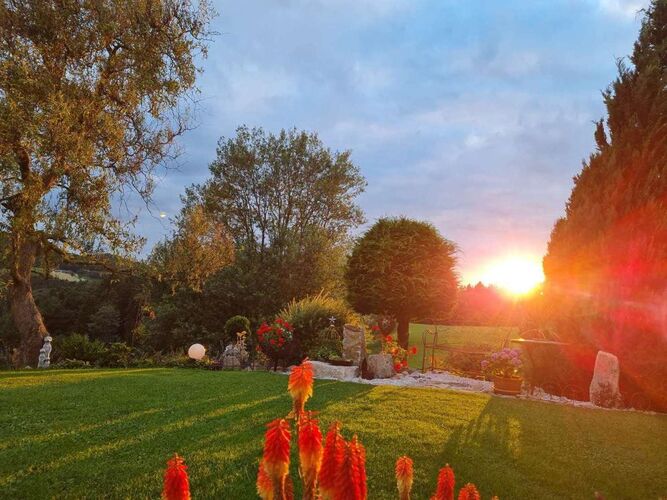 Schönster Garten 2022 - Monika aus Ried