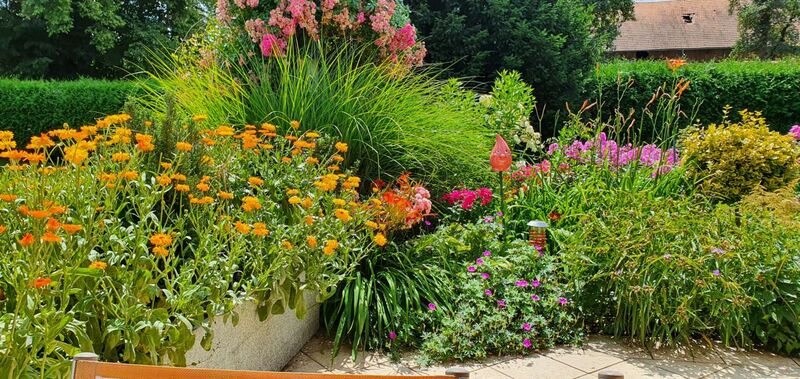 Schönster Garten 2022 - Bruno  aus Grieskirchen