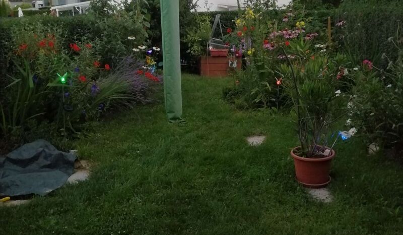 Schönster Garten 2022 - Monika aus Linz