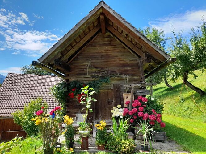 Schönster Garten 2022 - Christine  aus Kirchdorf