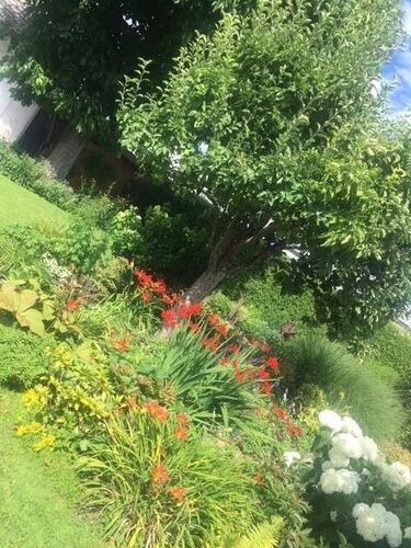 Schönster Garten 2022 - Railin aus Vöcklabruck