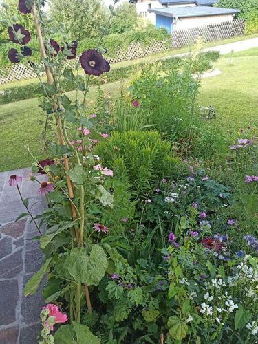 Schönster Garten 2022 - Gabriela aus Grieskirchen