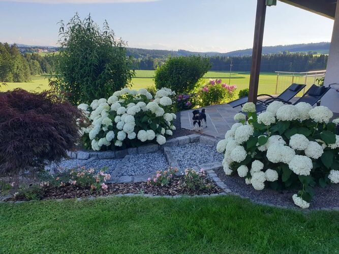 Schönster Garten 2022 - Bettina aus Vöcklabruck