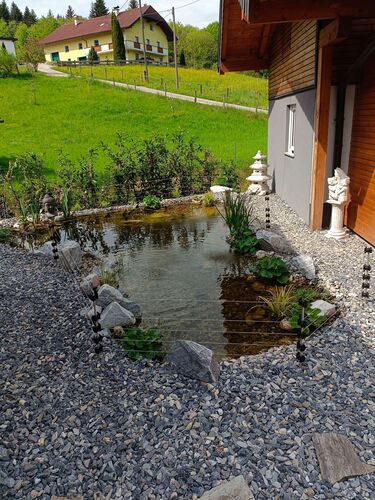 Schönster Garten 2022 - Christopher  aus Gmunden