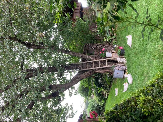 Schönster Garten 2022 - Anna aus Rohrbach