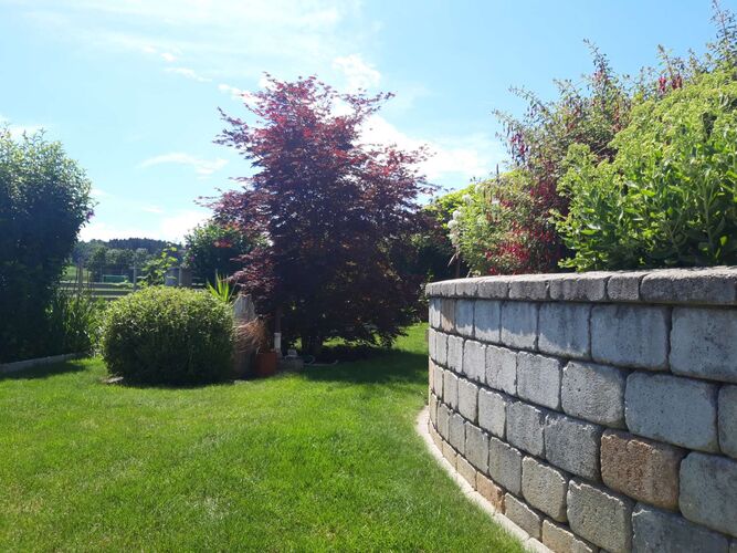 Schönster Garten 2022 - Martin aus Melk