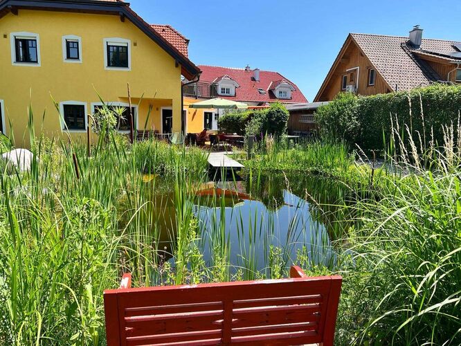 Schönster Garten 2022 - Andreas aus Steyr