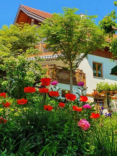 Schönster Garten 2022 - Veronika aus Wels