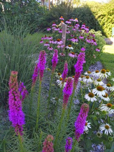 Schönster Garten 2022 - Anita aus Perg