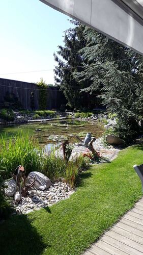 Schönster Garten 2022 - Christine aus Linz-Land