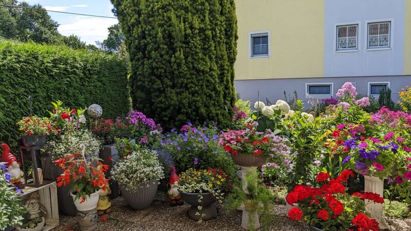 Schönster Garten 2022 - Antonia aus Ried